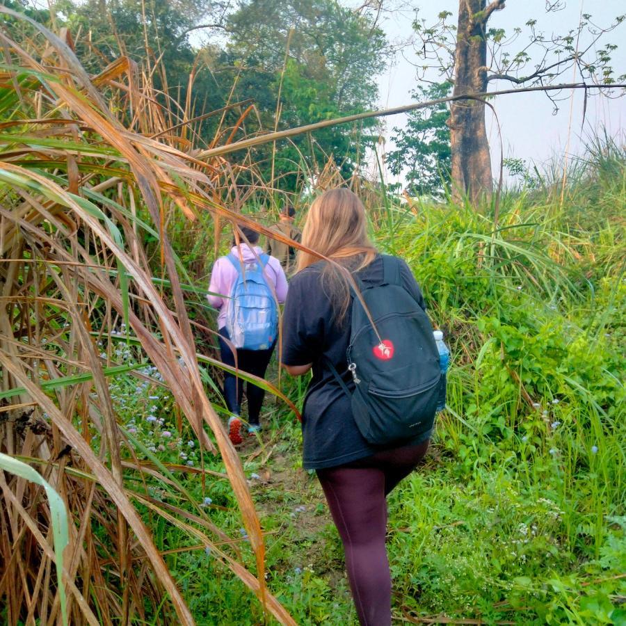 Hotel Tiger Tops Sauraha Exteriér fotografie