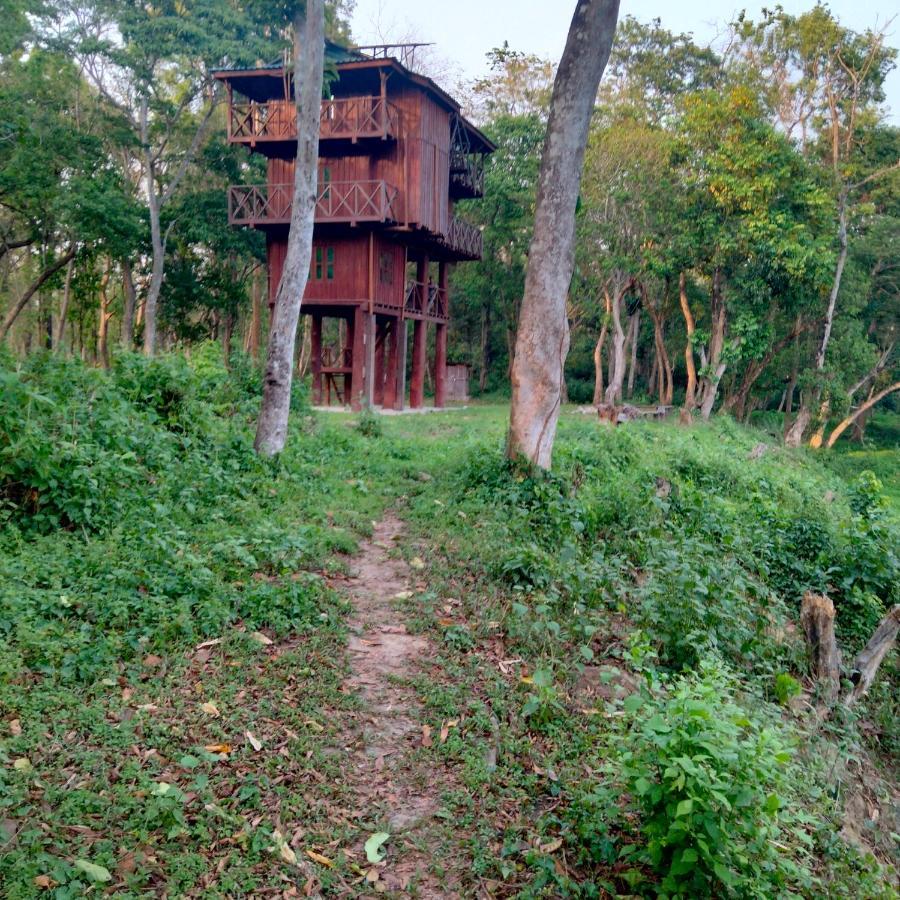 Hotel Tiger Tops Sauraha Exteriér fotografie