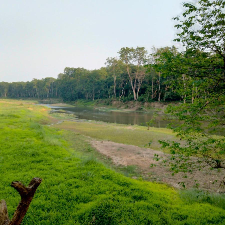 Hotel Tiger Tops Sauraha Exteriér fotografie