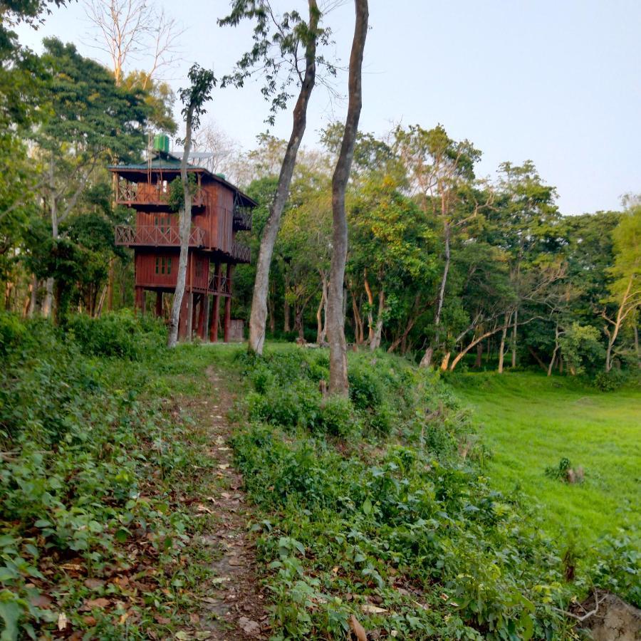 Hotel Tiger Tops Sauraha Exteriér fotografie