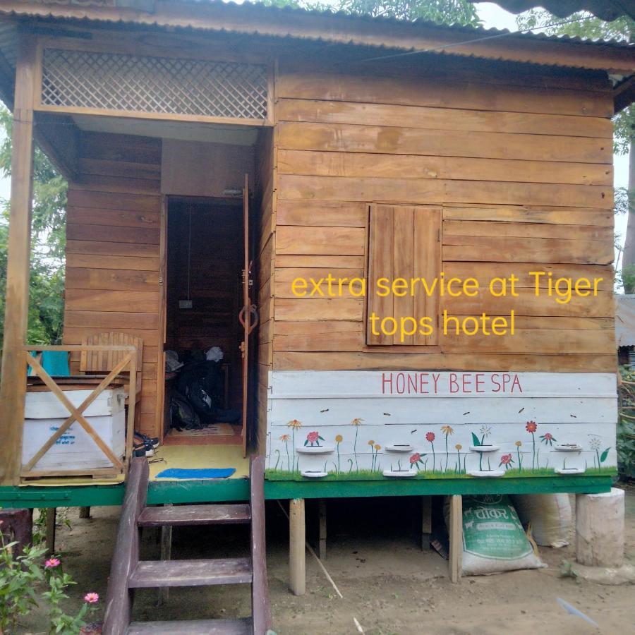 Hotel Tiger Tops Sauraha Exteriér fotografie