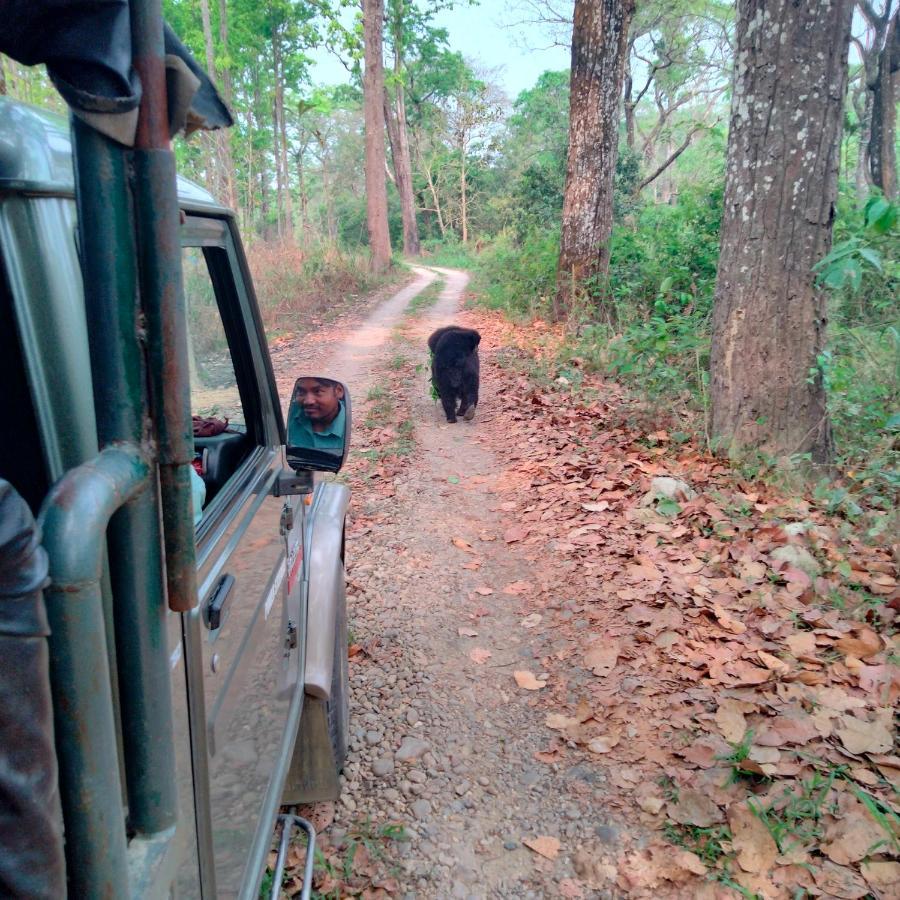 Hotel Tiger Tops Sauraha Exteriér fotografie