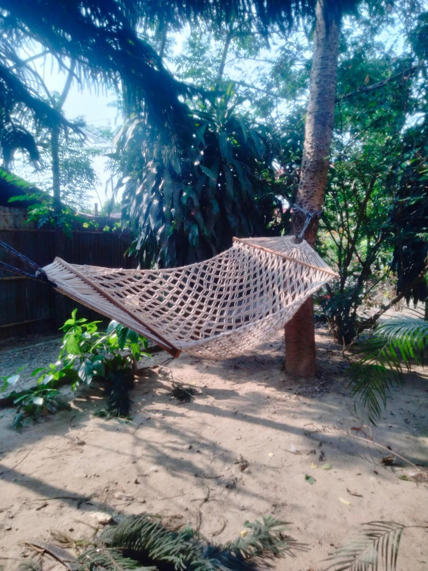 Hotel Tiger Tops Sauraha Exteriér fotografie