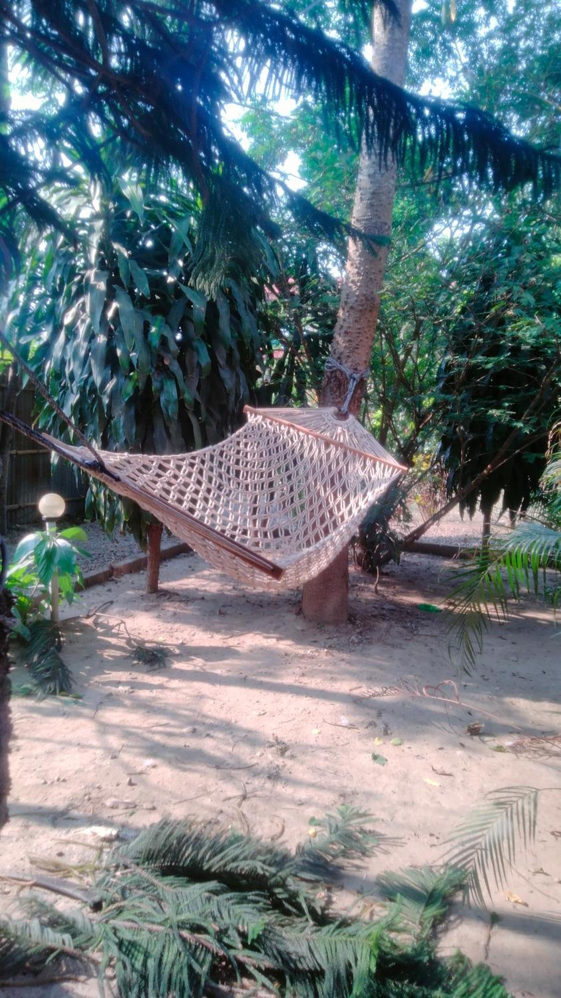 Hotel Tiger Tops Sauraha Exteriér fotografie