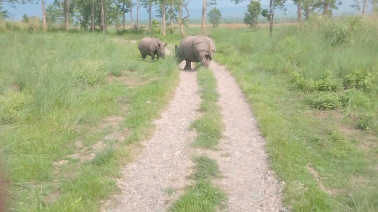 Hotel Tiger Tops Sauraha Pokoj fotografie