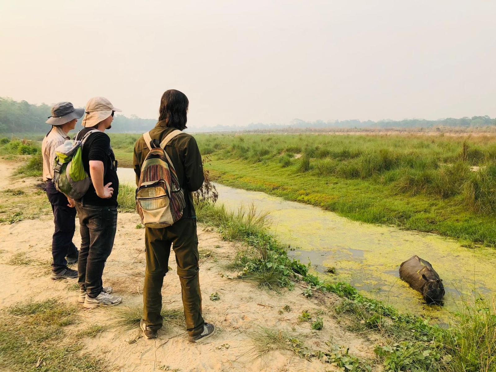 Hotel Tiger Tops Sauraha Exteriér fotografie