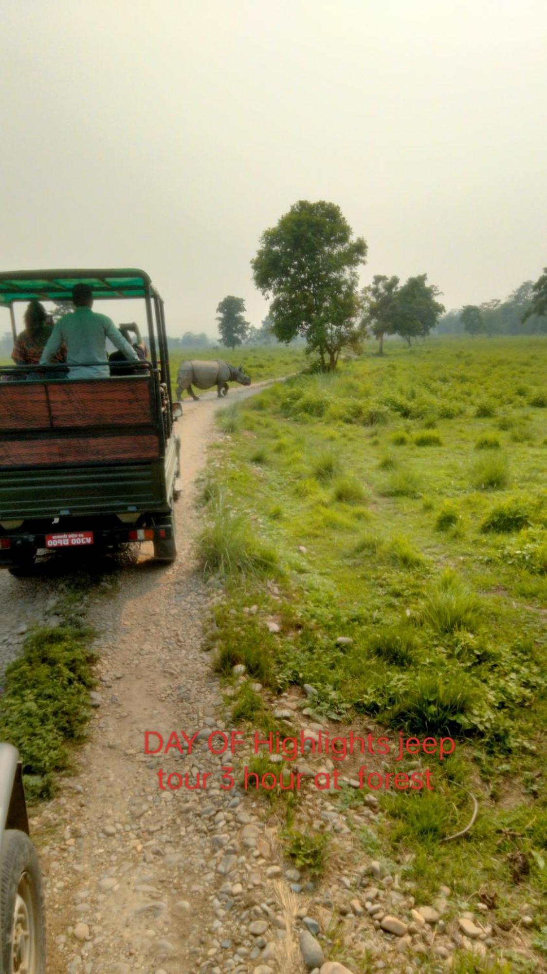 Hotel Tiger Tops Sauraha Exteriér fotografie