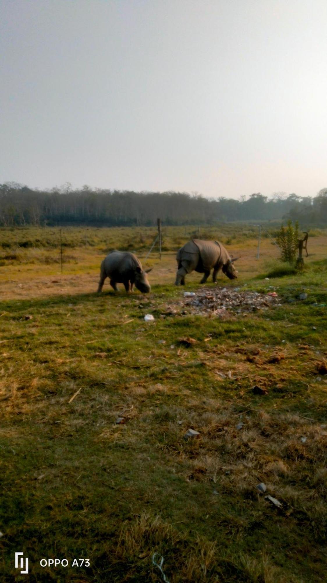 Hotel Tiger Tops Sauraha Exteriér fotografie