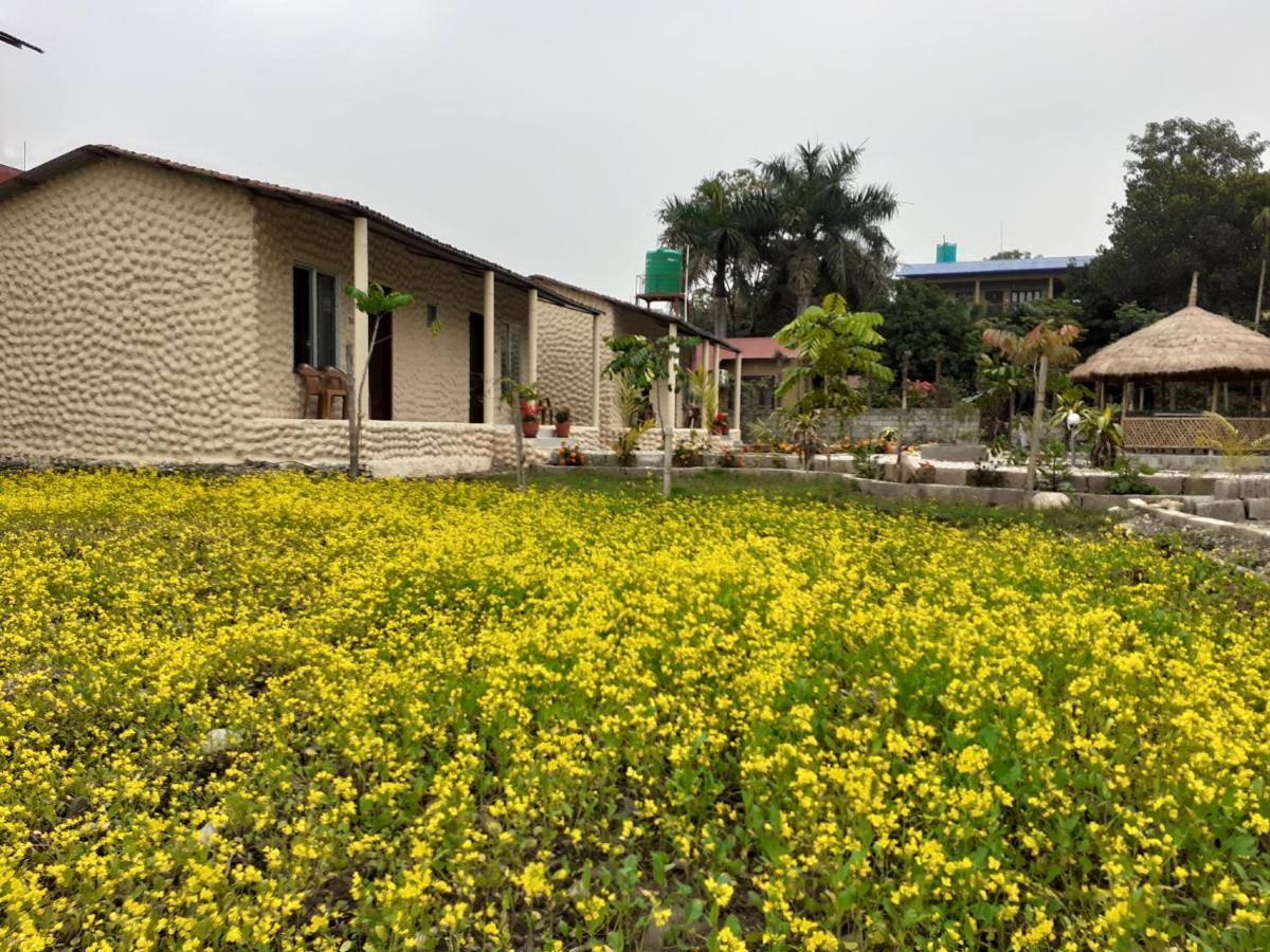 Hotel Tiger Tops Sauraha Exteriér fotografie